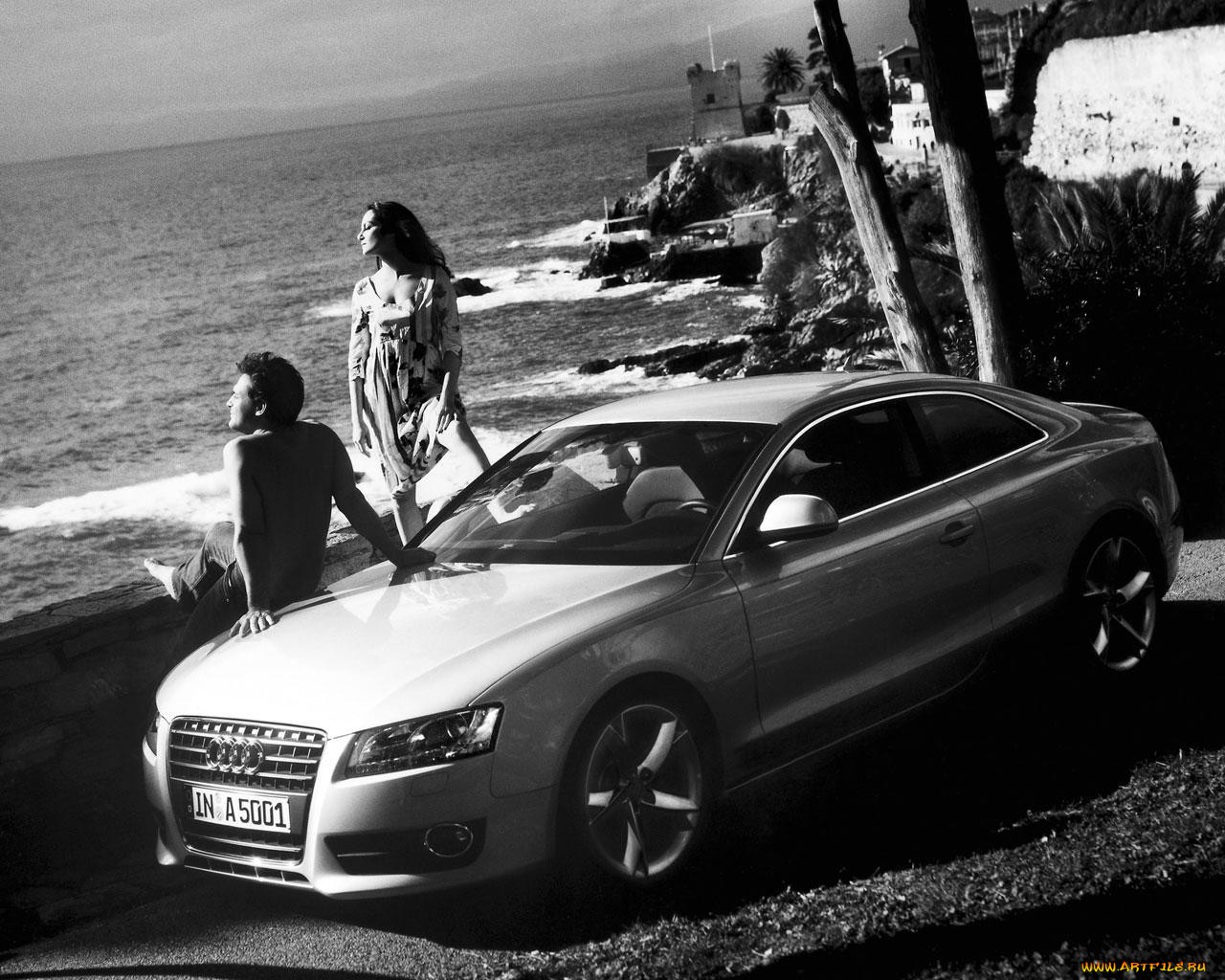 , audi